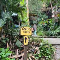 Rainforest Treehouse Cafe is a hidden gem in JB