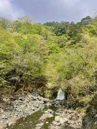 【神奈川】鍋割山⛰️