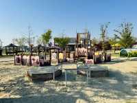 Play, Pets & Plants—Pyeongtaek Fun!