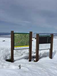 【北海道・旭川】旭岳ロープウェイで大雪山の大自然を体感しよう