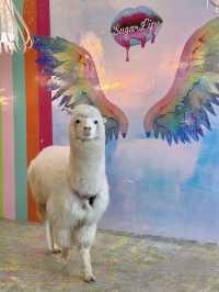 Sweet Moments with Alpacas: Exploring Eatsugarlips Café in Permas City