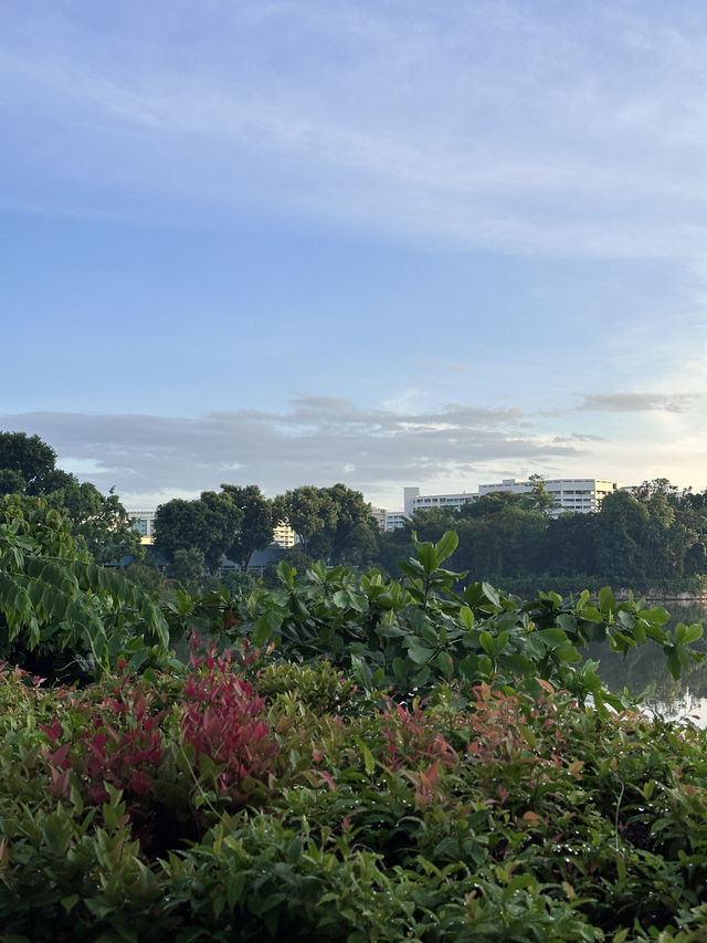 Slow Bakes, Fast Faves: Yishun’s Hidden Gem by the Pond 🥯🍞