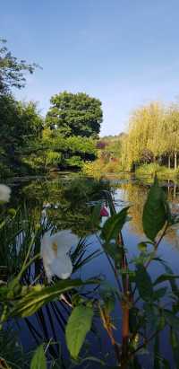 🎨 Fondation Monet in Giverny – 모네의 정원, 꿈같은 아침
