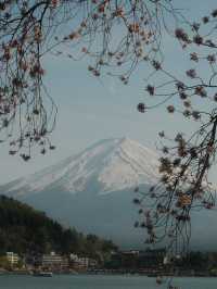 Tokyo thrills, Fuji chills 
