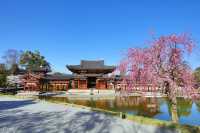 🍵 Uji: Kyoto’s Green Tea Paradise & Timeless Beauty 🍵