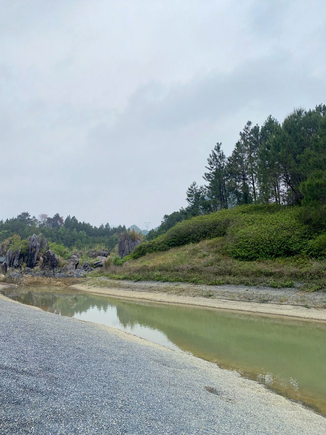 英德｜積慶里仙湖情人橋，同心島，人少景也美💚