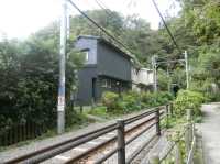 【鎌倉】鳥居の前を電車が横切る🚃御霊神社