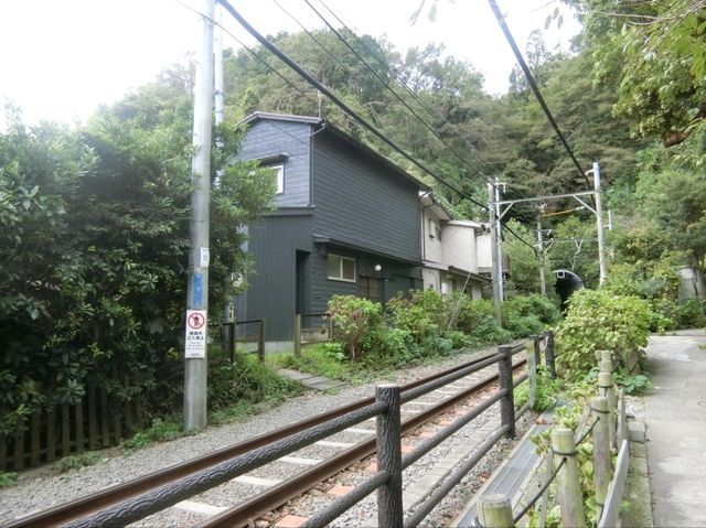 【鎌倉】鳥居の前を電車が横切る🚃御霊神社