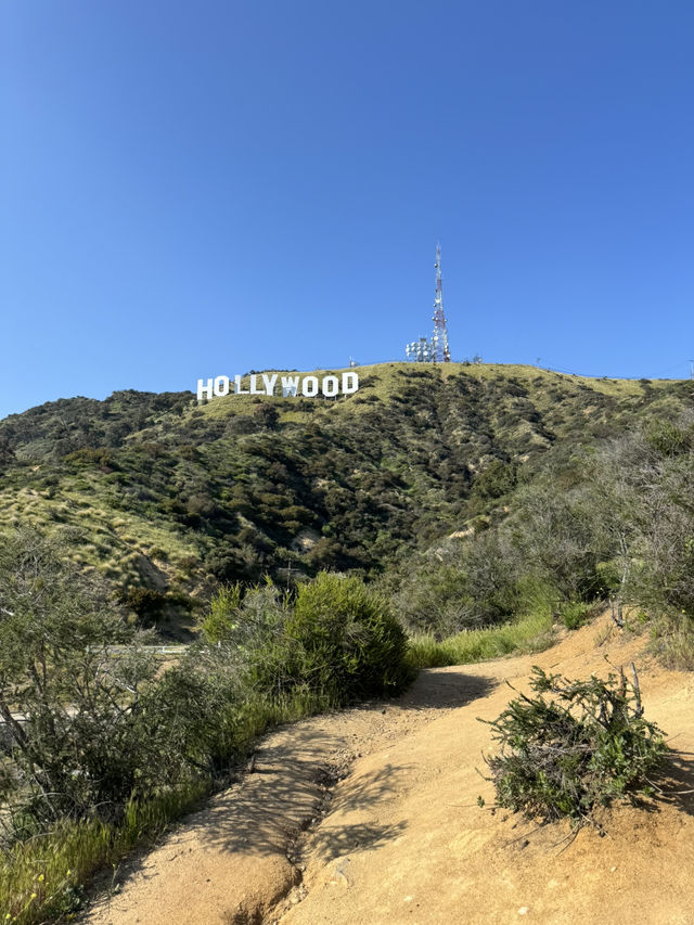 🥾 Hollywood Sign 하이킹 코스, LA의 상징을 가까이!
