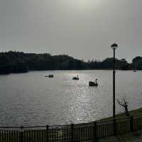 【愛知】自然と触れ合える！鞍ヶ池公園