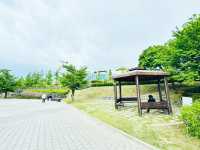Where Nature Nurtures