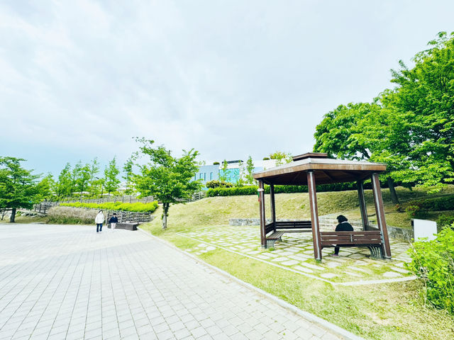 Where Nature Nurtures