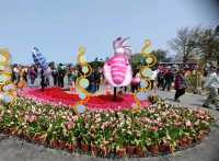 #桃園彩色海芋季-桃園市大園區