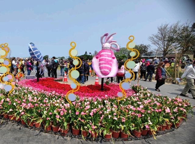 #桃園彩色海芋季-桃園市大園區