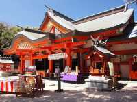 Aoshima Island Adventure: Japan’s Purr-fect Cat Paradise