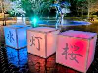 福岡賞櫻秘境---朝倉市甘城水文化村的水燈櫻花
