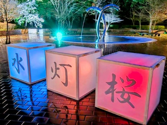 福岡賞櫻秘境---朝倉市甘城水文化村的水燈櫻花