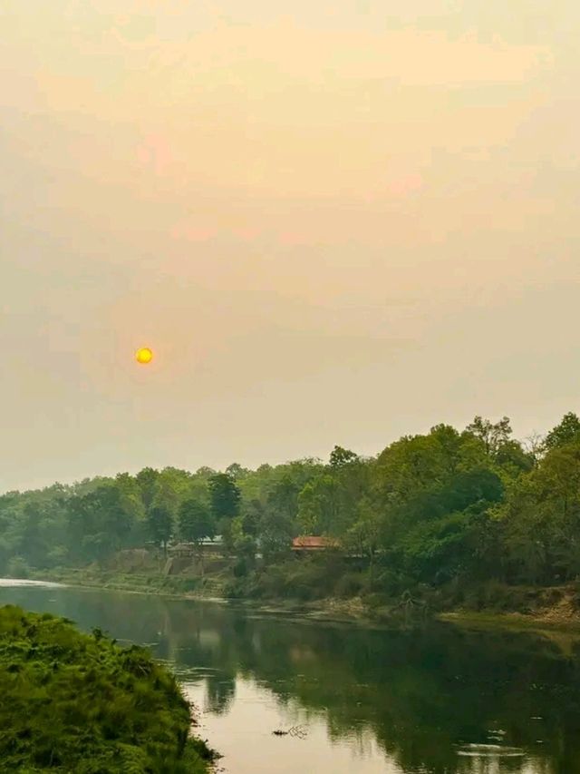 Into the Wild: A Magical Journey through Chitwan National Park