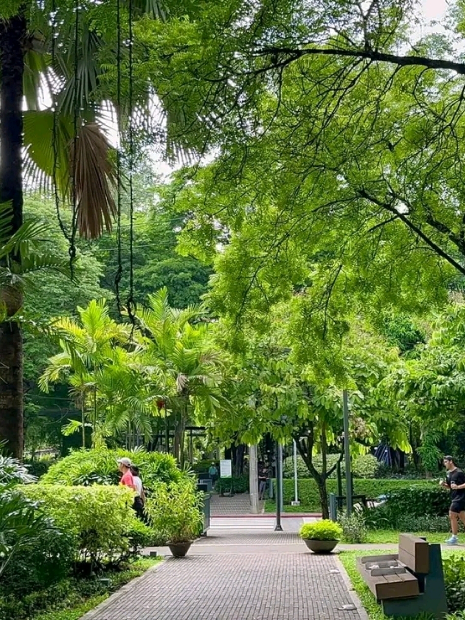 Legazpi Active Park