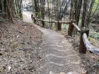 น้ำตกตาดสะดอ อุทยานแห่งชาติแม่ปิง