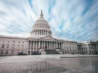 Washington, D.C.: A Capital in Full Bloom