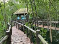 เที่ยวป่าชายเลน อุทยานแห่งชาติหมู่เกาะชุมพร 