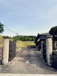 很有氛圍的飫肥城下町