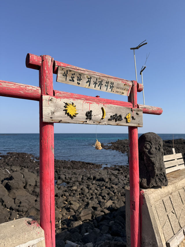 韓國濟州🍊｜在「牛島」體驗濟州寧靜小島的浪漫氛圍💕