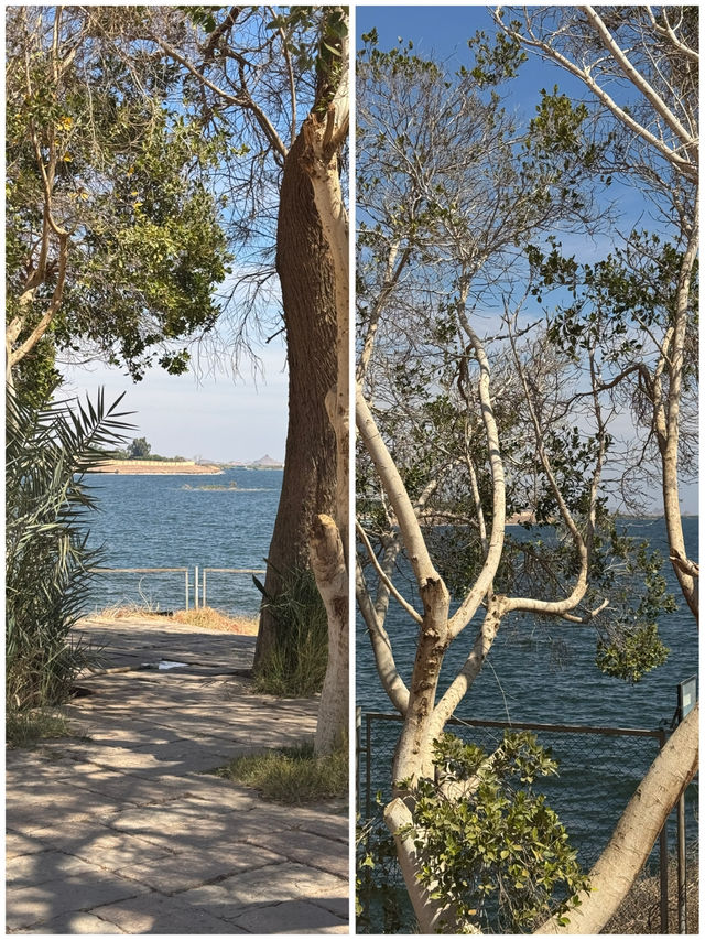 아부심벨 여행 정말 속이 틔여요