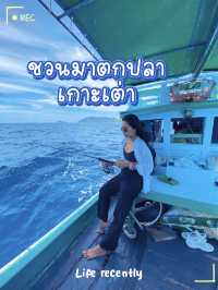  ตกปลาที่เกาะเต่า เรียนรู้วิถีชาวประมง & ชิมซาชิมิ