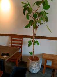 福岡新開業的韓國風咖啡館 -- Cafe Comma ☕☕