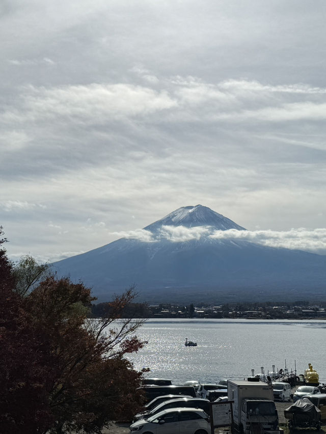 東京｜交通攻略｜河口湖｜追尋富士山的最佳路徑