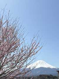 Mount Fuji – Japan’s Majestic Heartbeat 🗻✨