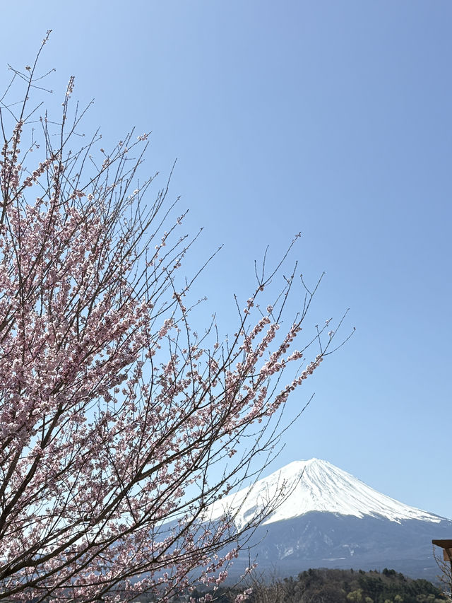 Mount Fuji – Japan’s Majestic Heartbeat 🗻✨