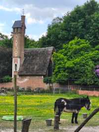 Visiting my family after 22 years...back to Belgium.