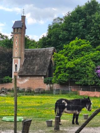 Visiting my family after 22 years...back to Belgium.