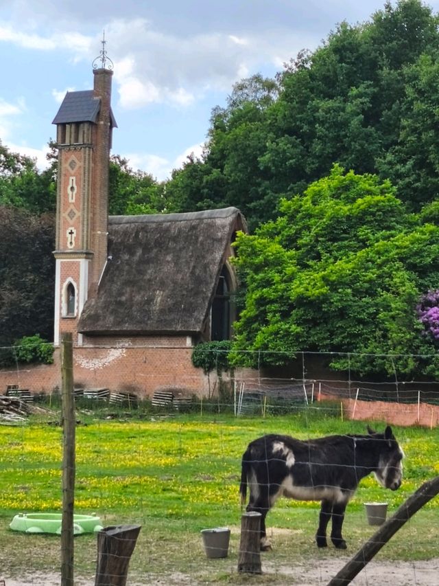 Visiting my family after 22 years...back to Belgium.