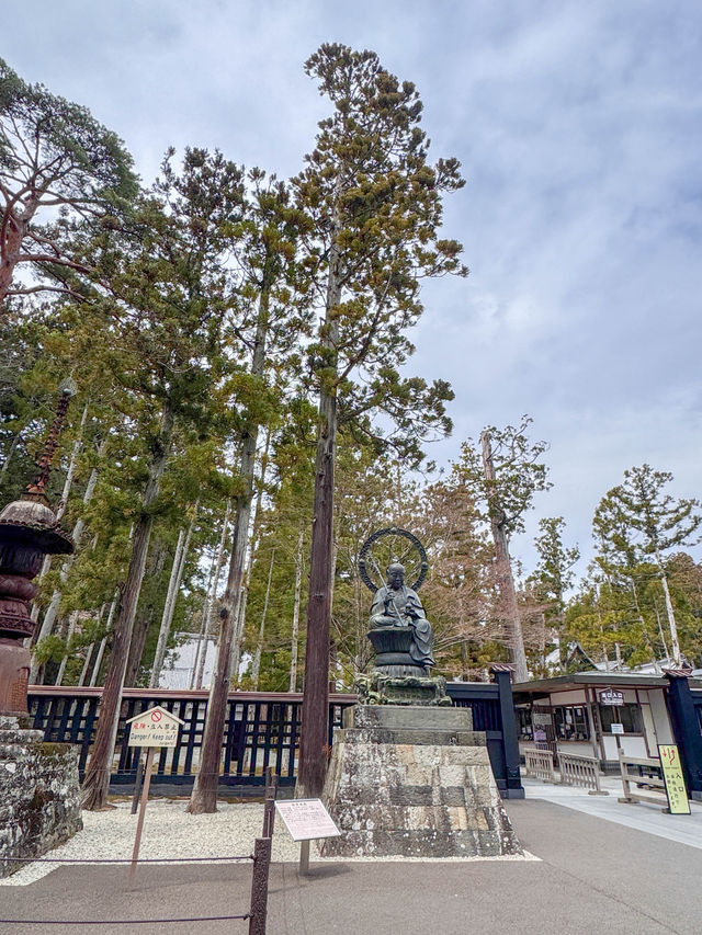 松島半日遊｜瑞巖寺、五大堂、伊達政宗歷史館