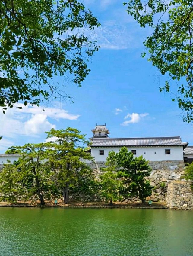 Imabari-jō Castle – The Coastal Fortress of Shikoku