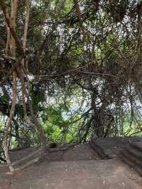 Climb to the Sky at Sigiriya – The Lion Rock of Sri Lanka