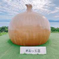 淡路島 ひたすら玉ねぎ🧅