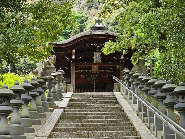 전역 후 혼자서 감미로운 일본 여행 🇯🇵
