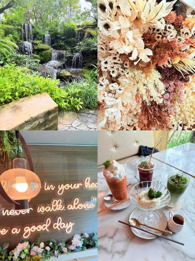 Hidden in the heart of nature—Aomkod Caf
