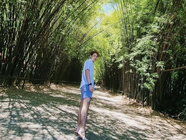 วัดจุฬาภรณ์วนาราม อุโมงค์ป่าไผ่ทอดยาวอันร่มรื่น
