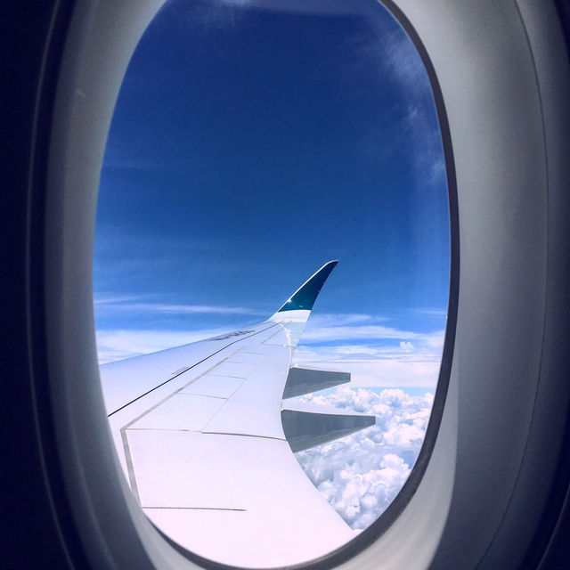 파리여행 이모저모 💚