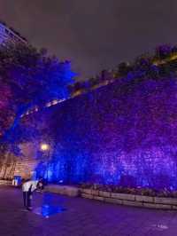 好酒不见 就来南宁 Nanning