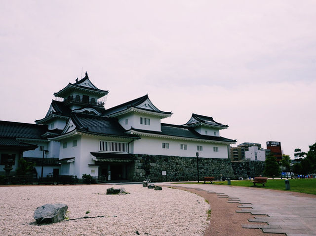端午節的富山城跡之旅 🏰🌸