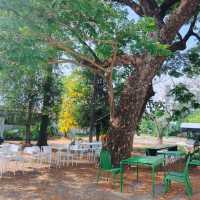 Miti Cafe คาเฟ่ในเมืองขอนแก่น