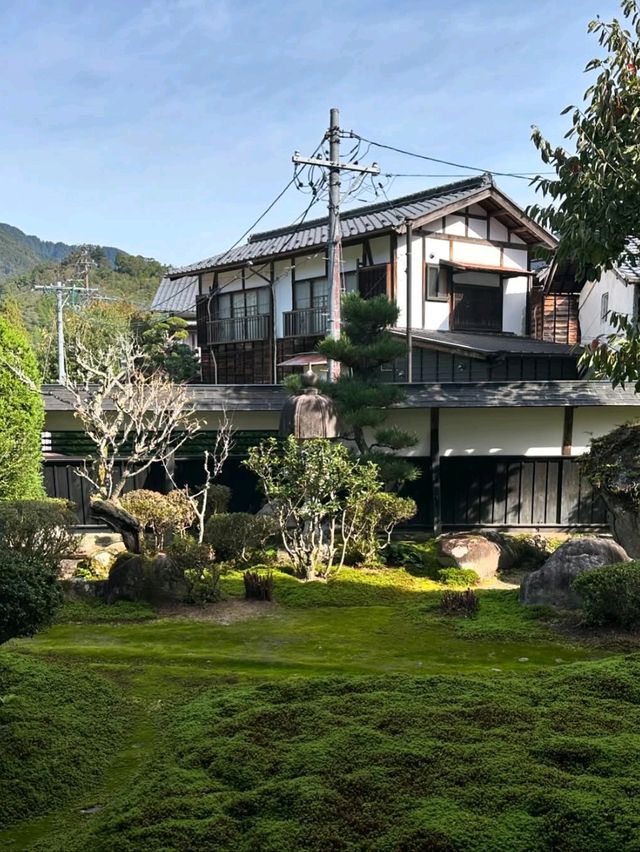 Peace, Pines & Edo Vibes