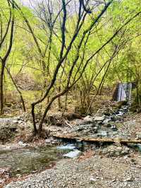 【保存版】関東日帰り登山⛰️おすすめ6選